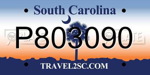 P803090 South Carolina License Plate