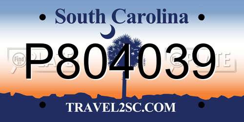 P804039 South Carolina License Plate
