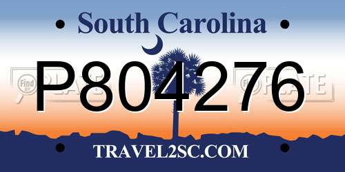 P804276 South Carolina License Plate