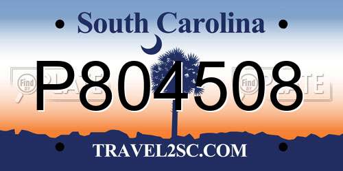 P804508 South Carolina License Plate