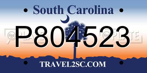 P804523 South Carolina License Plate