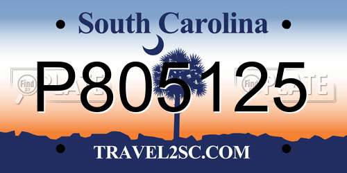 P805125 South Carolina License Plate