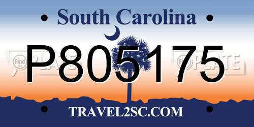 P805175 South Carolina License Plate