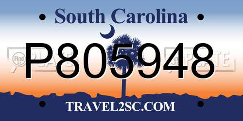 P805948 South Carolina License Plate