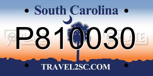 P810030 South Carolina License Plate