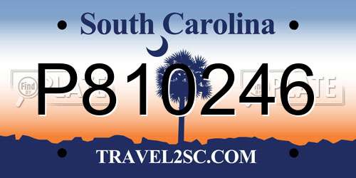 P810246 South Carolina License Plate