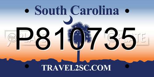 P810735 South Carolina License Plate
