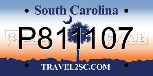 P811107 South Carolina License Plate