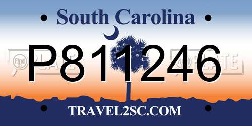 P811246 South Carolina License Plate