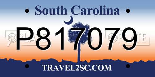 P817079 South Carolina License Plate