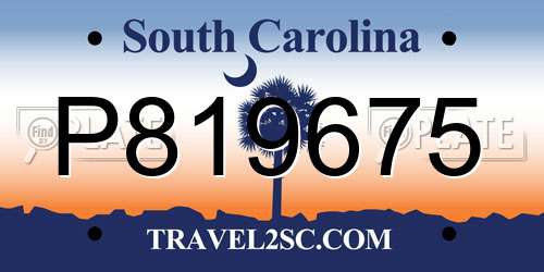 P819675 South Carolina License Plate