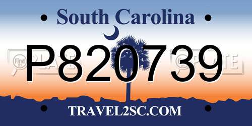 P820739 South Carolina License Plate