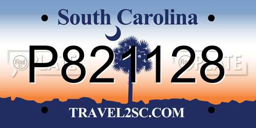 P821128 South Carolina License Plate