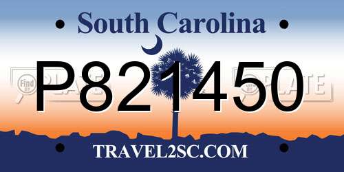 P821450 South Carolina License Plate