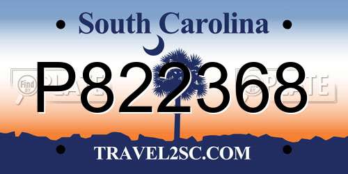P822368 South Carolina License Plate