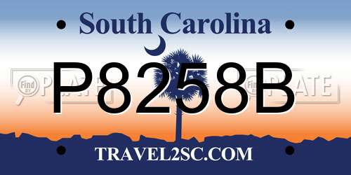 P8258B South Carolina License Plate