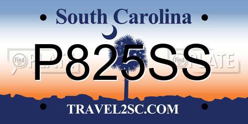 P825SS South Carolina License Plate