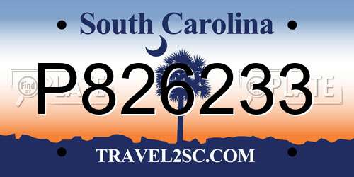 P826233 South Carolina License Plate