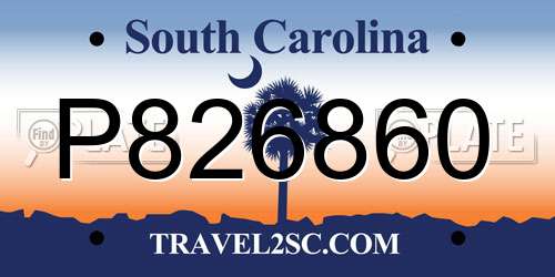P826860 South Carolina License Plate