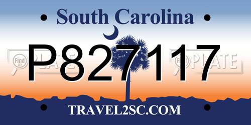 P827117 South Carolina License Plate