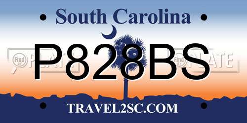 P828BS South Carolina License Plate