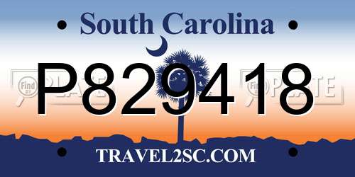 P829418 South Carolina License Plate