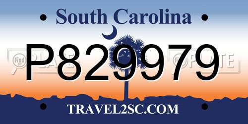 P829979 South Carolina License Plate