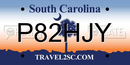 P82HJY South Carolina License Plate