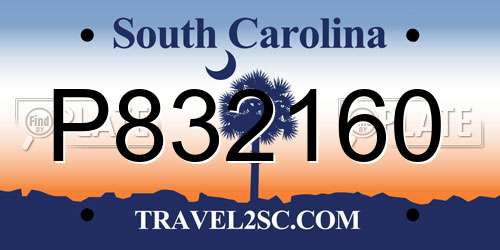 P832160 South Carolina License Plate