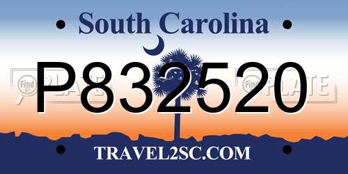 P832520 South Carolina License Plate