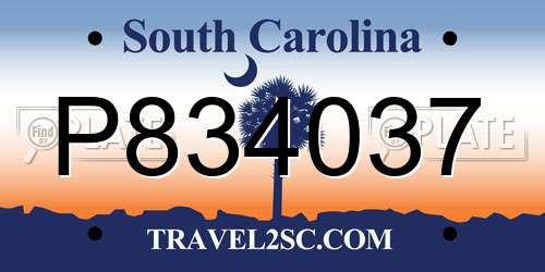 P834037 South Carolina License Plate