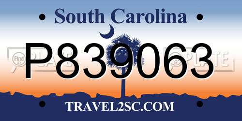 P839063 South Carolina License Plate