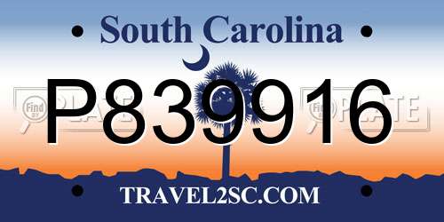 P839916 South Carolina License Plate