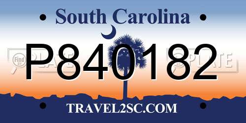 P840182 South Carolina License Plate