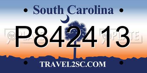 P842413 South Carolina License Plate