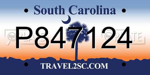 P847124 South Carolina License Plate