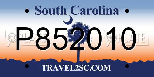 P852010 South Carolina License Plate