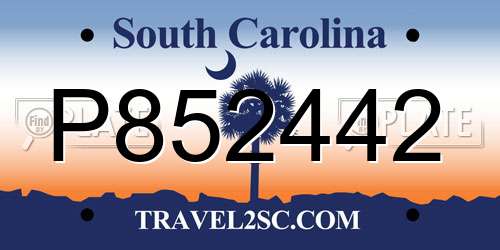 P852442 South Carolina License Plate