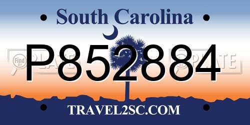 P852884 South Carolina License Plate