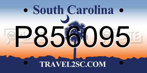 P856095 South Carolina License Plate