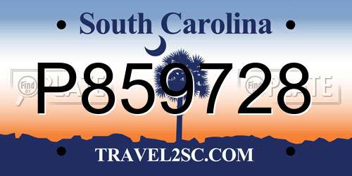 P859728 South Carolina License Plate