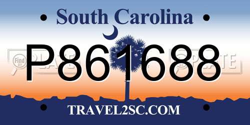 P861688 South Carolina License Plate