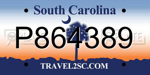 P864389 South Carolina License Plate