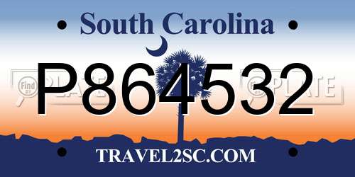 P864532 South Carolina License Plate