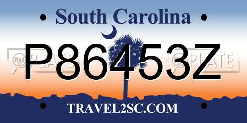 P86453Z South Carolina License Plate