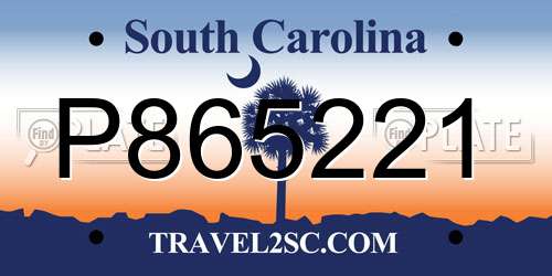 P865221 South Carolina License Plate