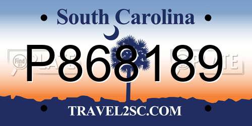 P868189 South Carolina License Plate