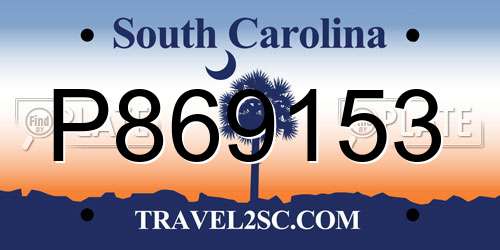 P869153 South Carolina License Plate