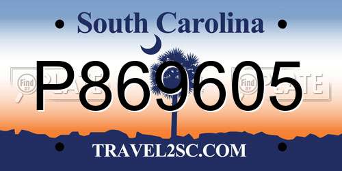 P869605 South Carolina License Plate