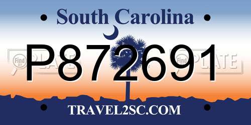 P872691 South Carolina License Plate